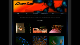 What Grahamowengallery.com website looked like in 2019 (5 years ago)