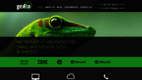 What Gekko.net.nz website looked like in 2019 (6 years ago)