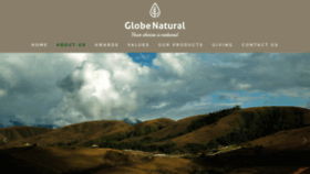 What Globenatural.com website looked like in 2019 (5 years ago)