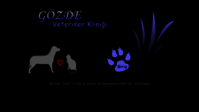 What Gozdeveteriner.com website looked like in 2019 (5 years ago)