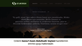 What Geylanidergahi.com website looked like in 2019 (5 years ago)
