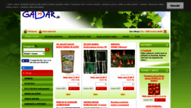 What Gadar.sk website looked like in 2019 (5 years ago)