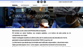 What Gastrosquisis.org website looked like in 2019 (4 years ago)