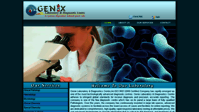 What Genixdiag.net website looked like in 2019 (4 years ago)