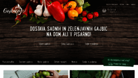What Gajbica.si website looked like in 2019 (5 years ago)