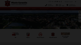 What Garwolin.pl website looked like in 2019 (4 years ago)