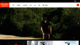 What Giantev.com.cn website looked like in 2019 (6 years ago)