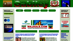 What Gabiley.net website looked like in 2019 (4 years ago)