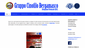 What Gruppocinofilobergamasco.it website looked like in 2019 (4 years ago)