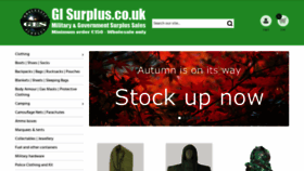 What Gisurplus.co.uk website looked like in 2019 (4 years ago)