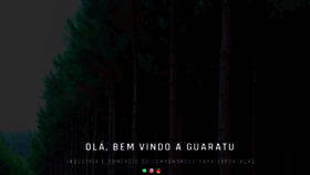 What Guaratu.ind.br website looked like in 2019 (4 years ago)
