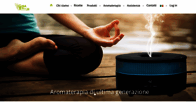 What Gisawellness.com website looked like in 2019 (6 years ago)