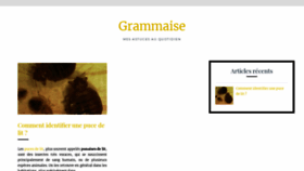 What Grammaise.fr website looked like in 2019 (4 years ago)