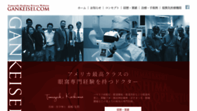 What Gankeisei.com website looked like in 2019 (4 years ago)