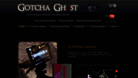 What Gotchaghost.com website looked like in 2019 (4 years ago)