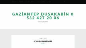 What Gaziantepdusakabin.com website looked like in 2019 (4 years ago)