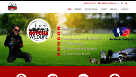 What Gotchawildlife.com website looked like in 2019 (4 years ago)