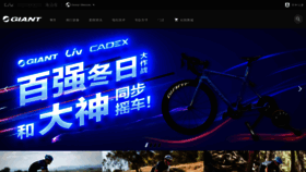 What Giant.com.cn website looked like in 2019 (4 years ago)