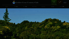What Goldencrosscc.com website looked like in 2019 (4 years ago)