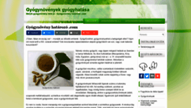 What Gyogynovenyhatarozo.com website looked like in 2019 (4 years ago)
