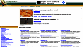 What Gradusnik.ru website looked like in 2019 (4 years ago)