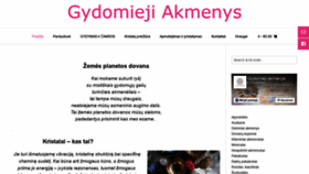 What Gydomiejiakmenys.lt website looked like in 2019 (4 years ago)