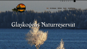 What Glaskogen.se website looked like in 2019 (4 years ago)
