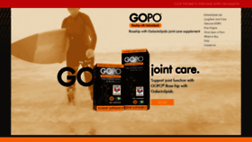 What Gowithgopo.com website looked like in 2019 (4 years ago)