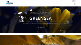 What Greensea.fr website looked like in 2019 (4 years ago)