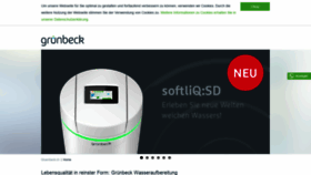 What Gruenbeck-schweiz.ch website looked like in 2019 (4 years ago)