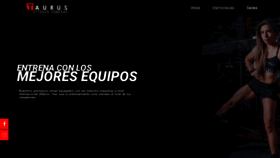 What Gimnasiotaurus.com website looked like in 2019 (6 years ago)
