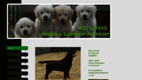 What Goldenylabrador.com website looked like in 2020 (4 years ago)