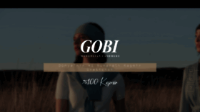 What Gobi.com.tr website looked like in 2020 (4 years ago)