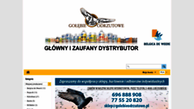 What Golebieodrzutowe.pl website looked like in 2020 (4 years ago)
