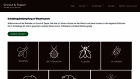 What Grossetepper.de website looked like in 2020 (4 years ago)
