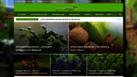 What Gartentipps.com website looked like in 2020 (4 years ago)