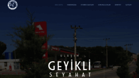 What Geyikliseyahat.com website looked like in 2020 (4 years ago)