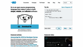 What Golang.org website looked like in 2020 (4 years ago)
