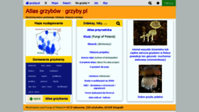What Grzyby.pl website looked like in 2020 (4 years ago)