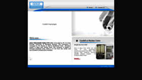 What Goletools.com website looked like in 2020 (4 years ago)