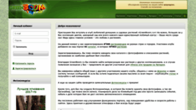 What Greenboom.ru website looked like in 2020 (4 years ago)