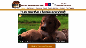 What Goldenstarfamilypuppies.com website looked like in 2020 (4 years ago)