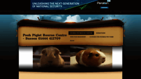 What Guineapigforsale.co.uk website looked like in 2020 (4 years ago)