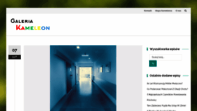 What Galeriakameleon.pl website looked like in 2020 (4 years ago)