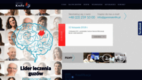 What Gammaknife.pl website looked like in 2020 (4 years ago)