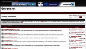 What Gelsene.net website looked like in 2020 (4 years ago)