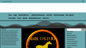 What Goldstudservices.com website looked like in 2020 (4 years ago)