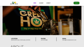 What Gogreenmuse.com website looked like in 2020 (4 years ago)
