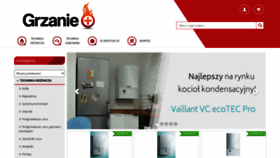 What Grzanieplus.pl website looked like in 2020 (5 years ago)