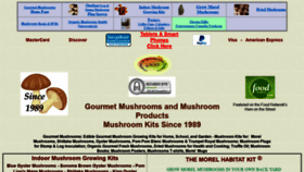 What Gmushrooms.com website looked like in 2020 (3 years ago)